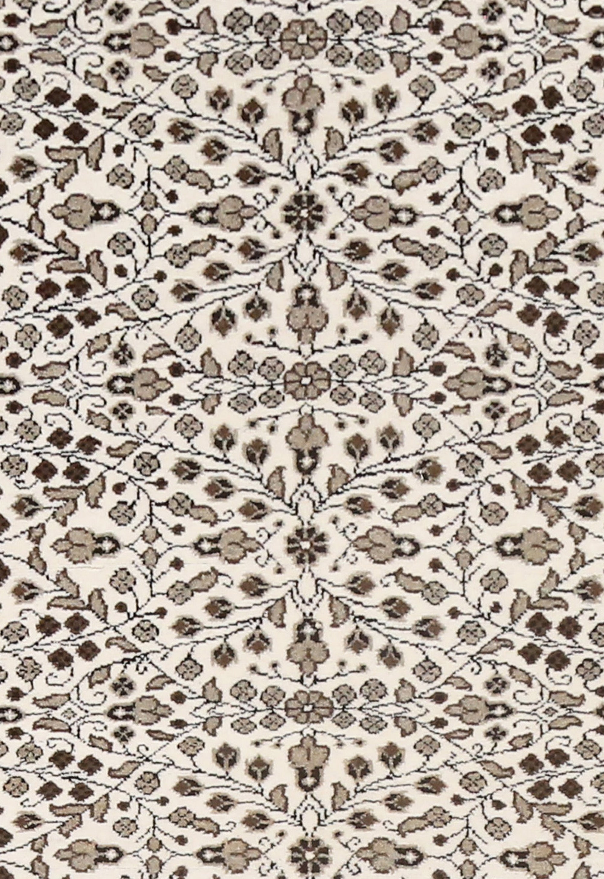Lattice Garden