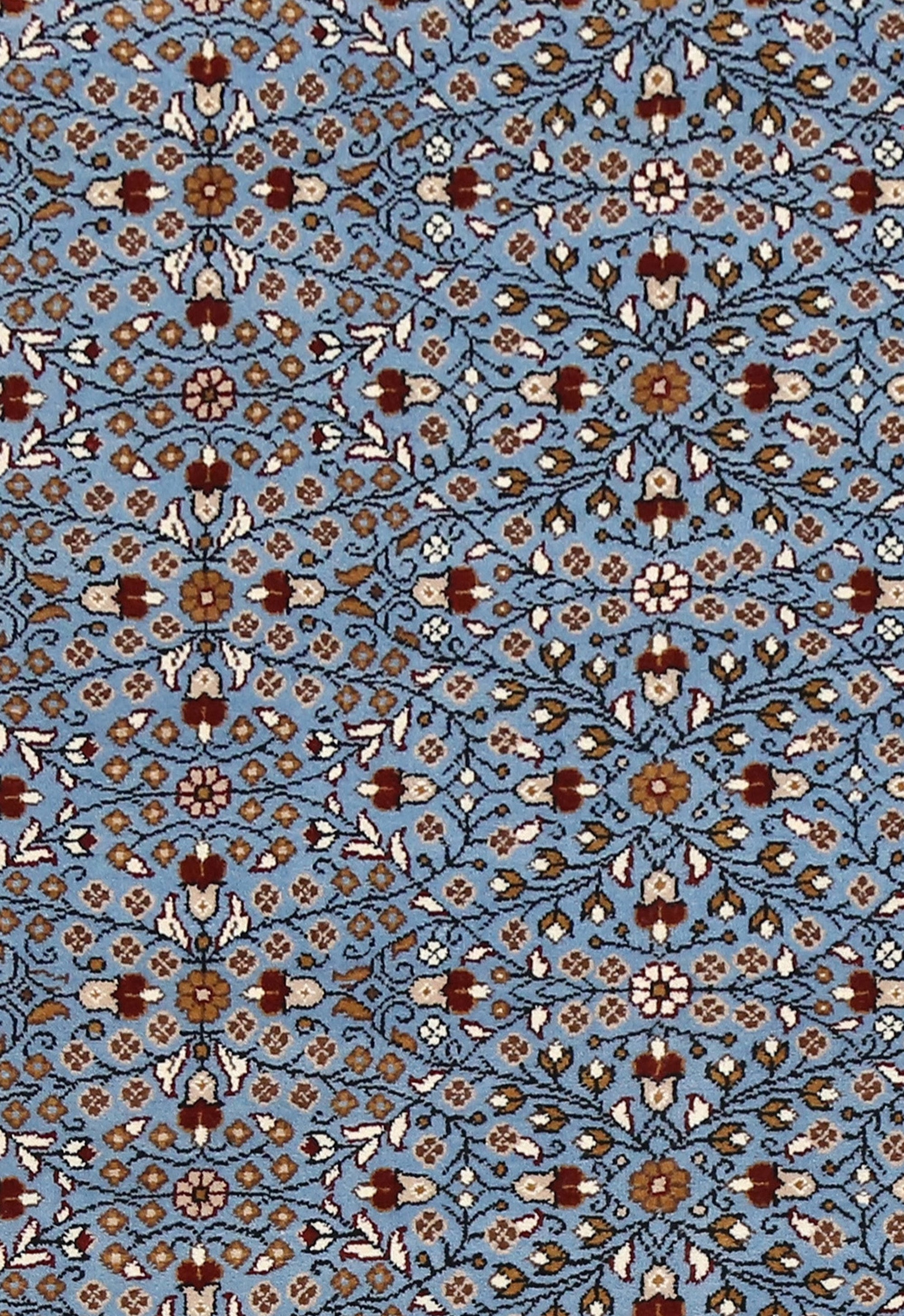 Sky Bloom Lattice