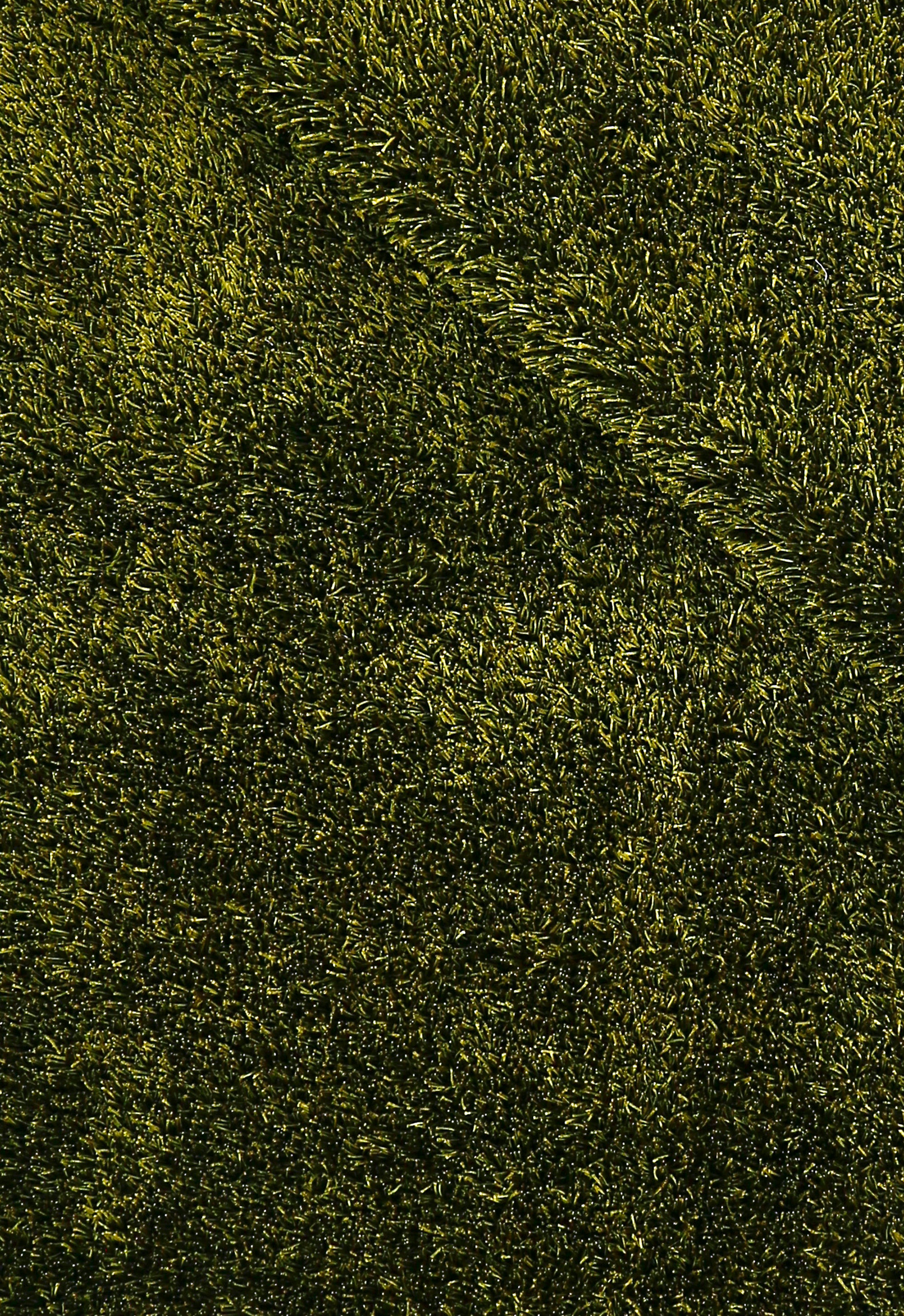 Olive Velvet
