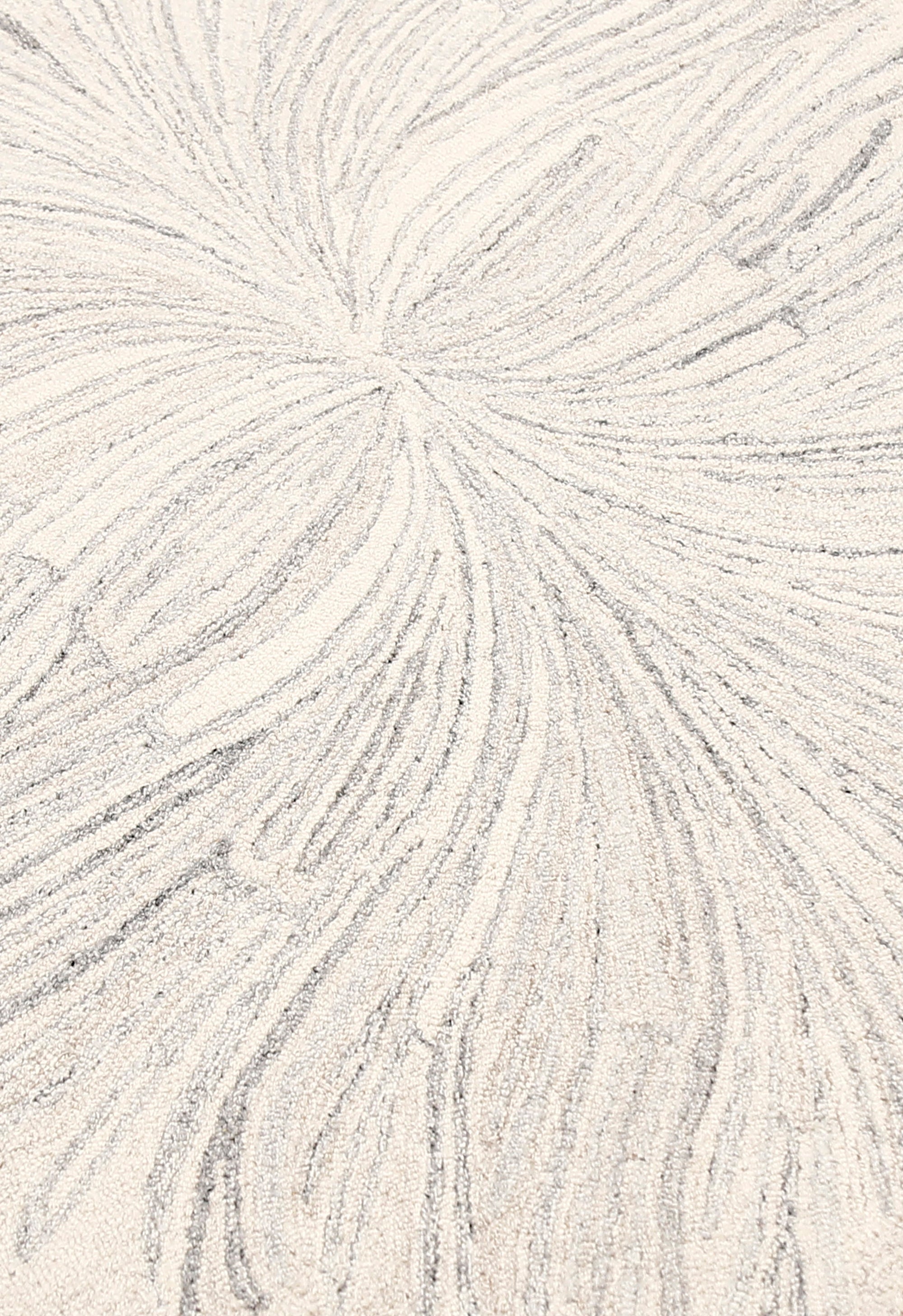 Snow Bloom