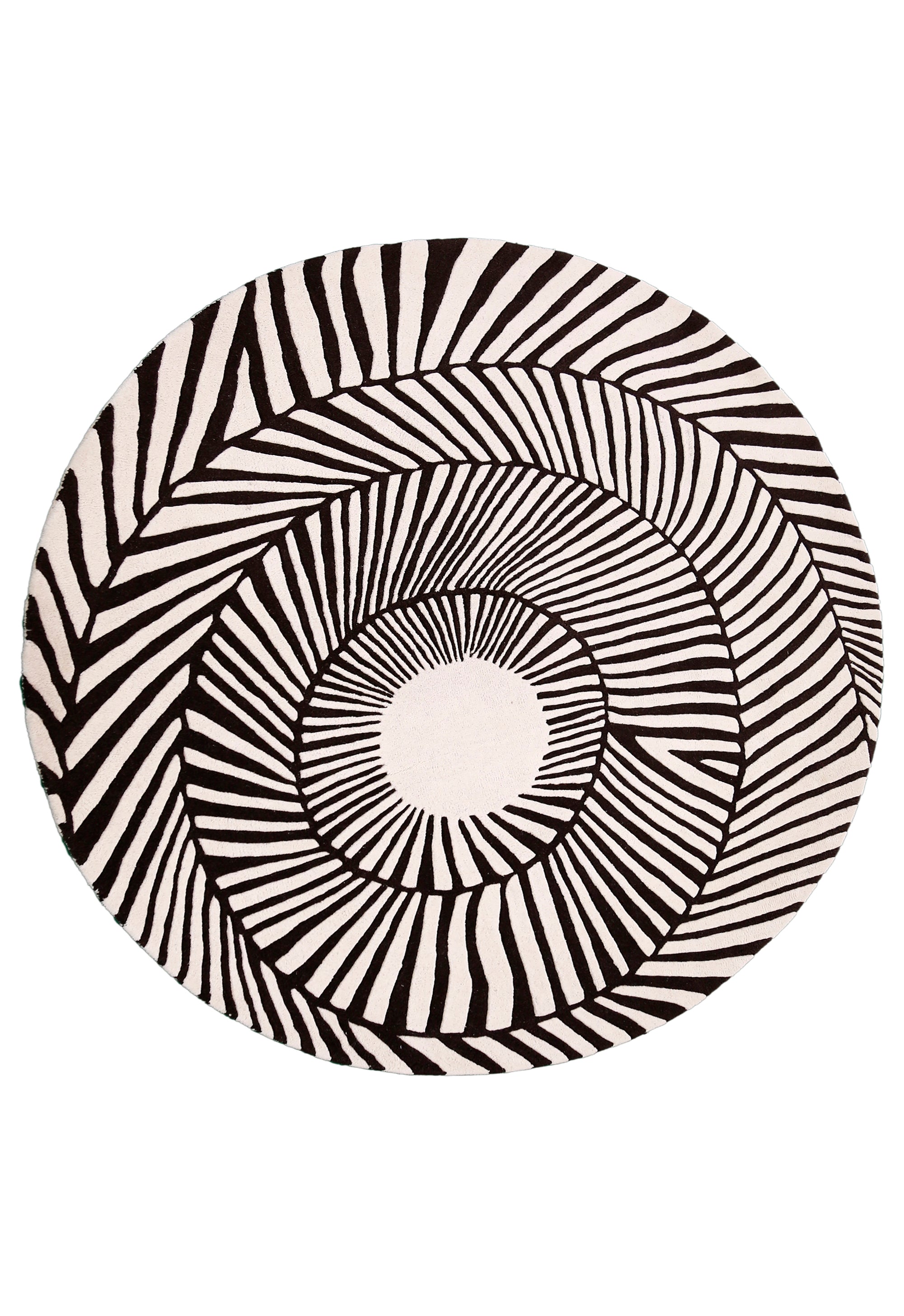 Zebra Orbit