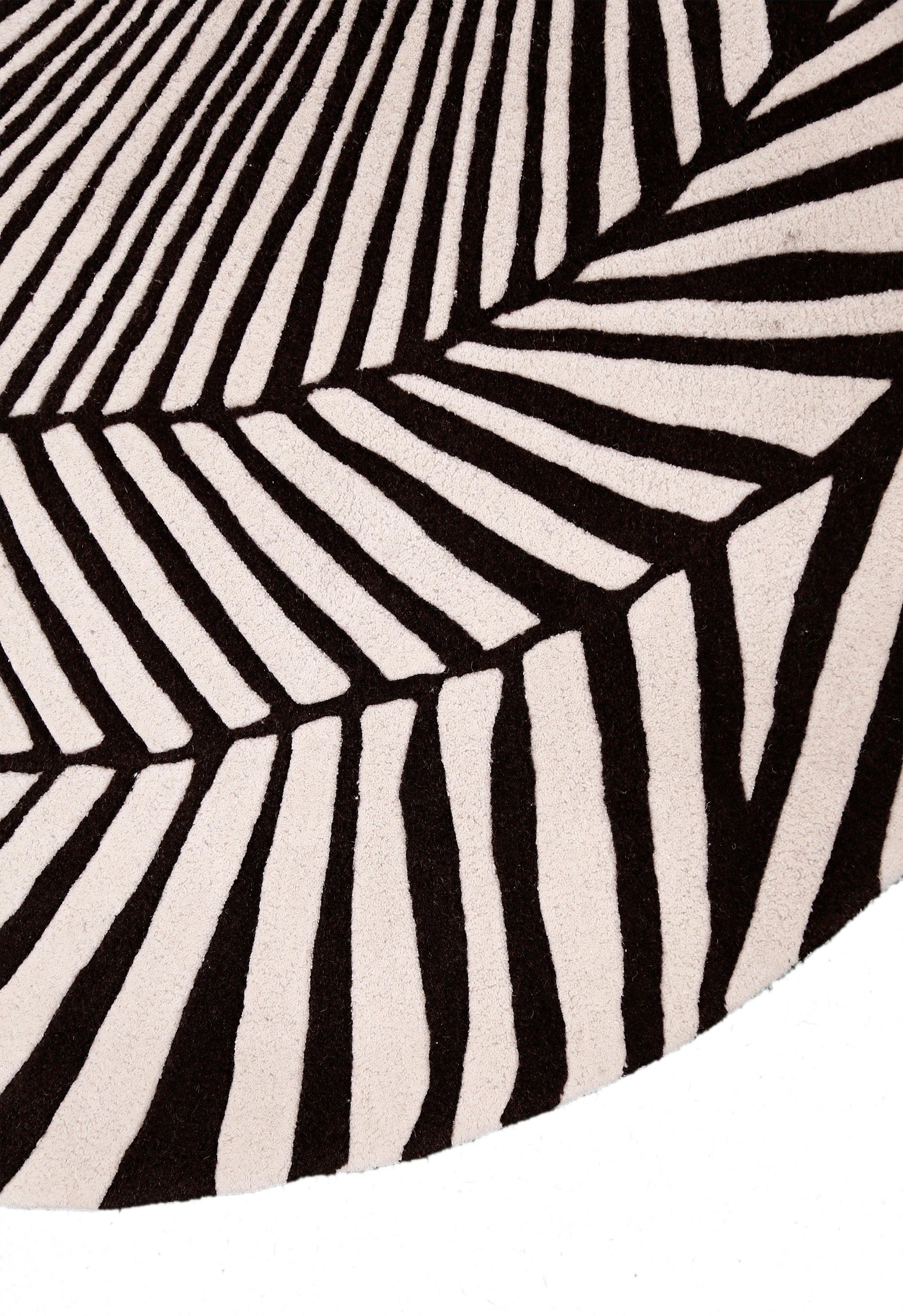 Zebra Orbit