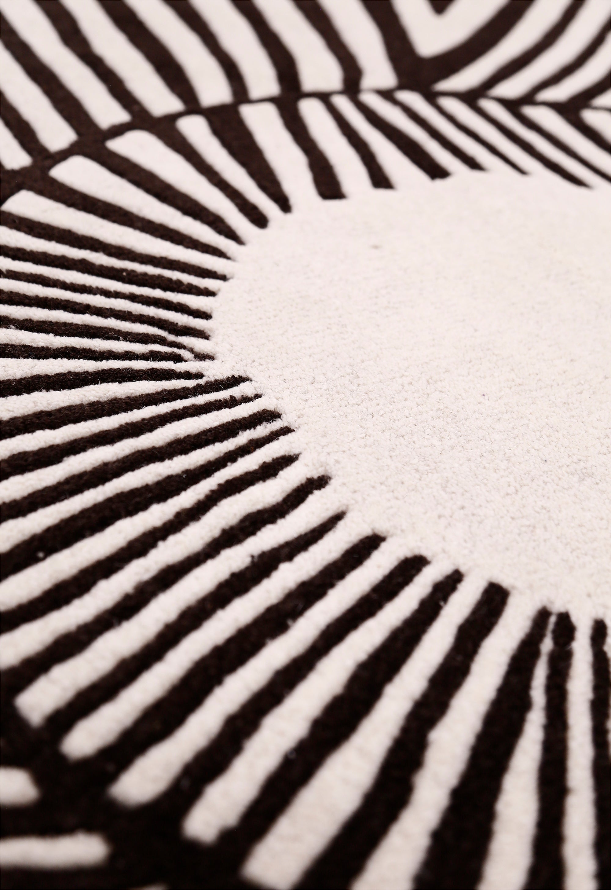 Zebra Orbit