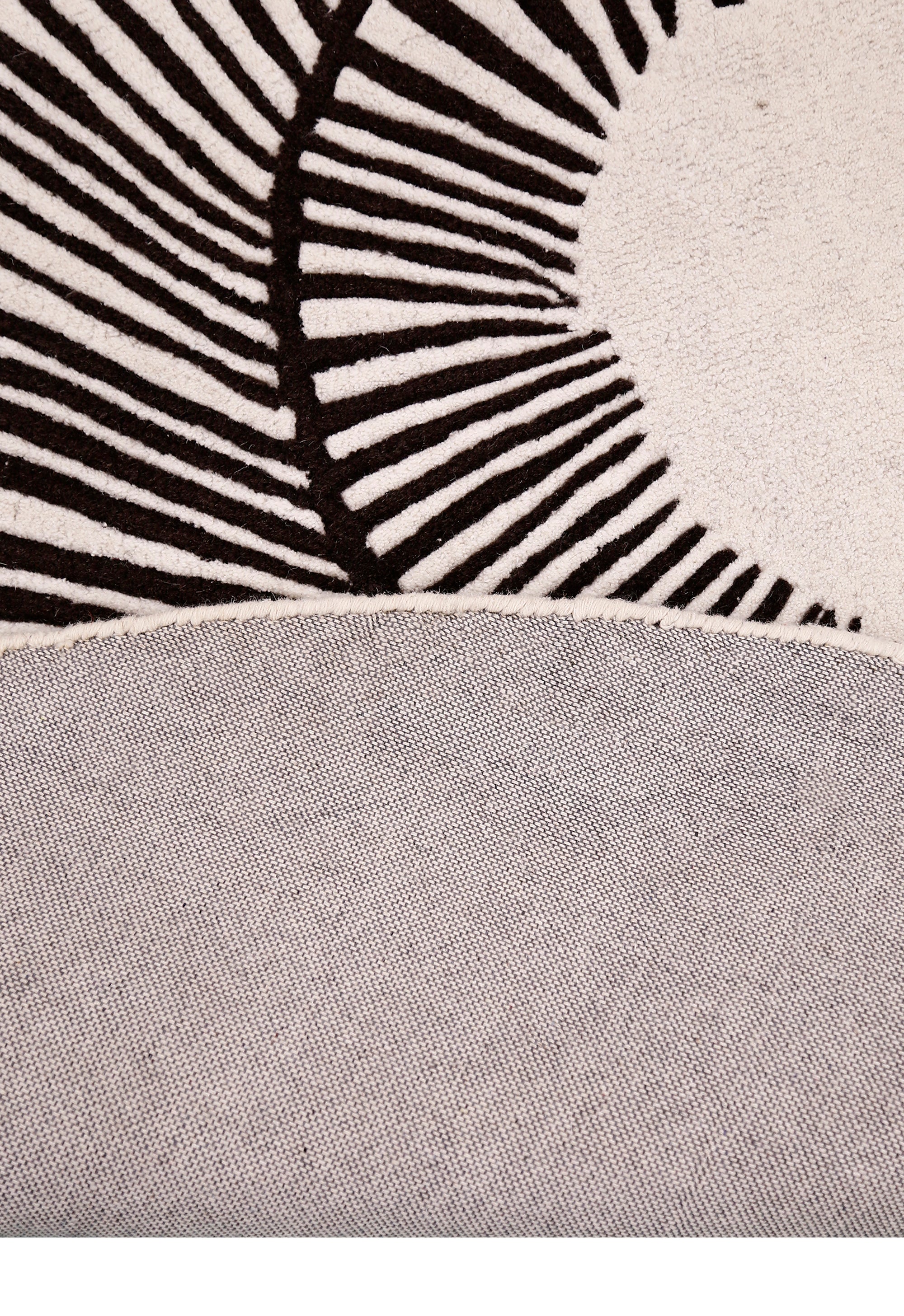 Zebra Orbit