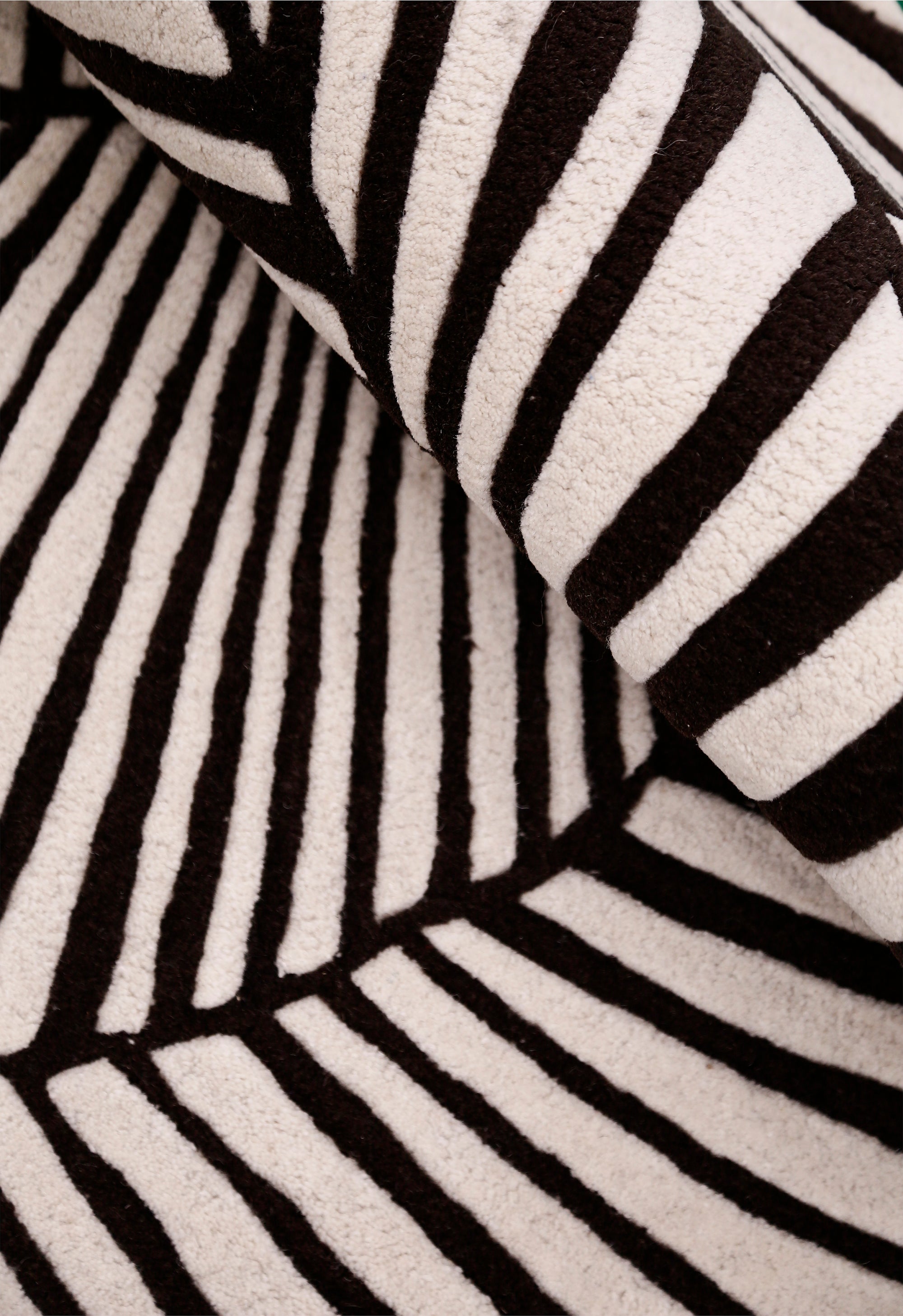 Zebra Orbit
