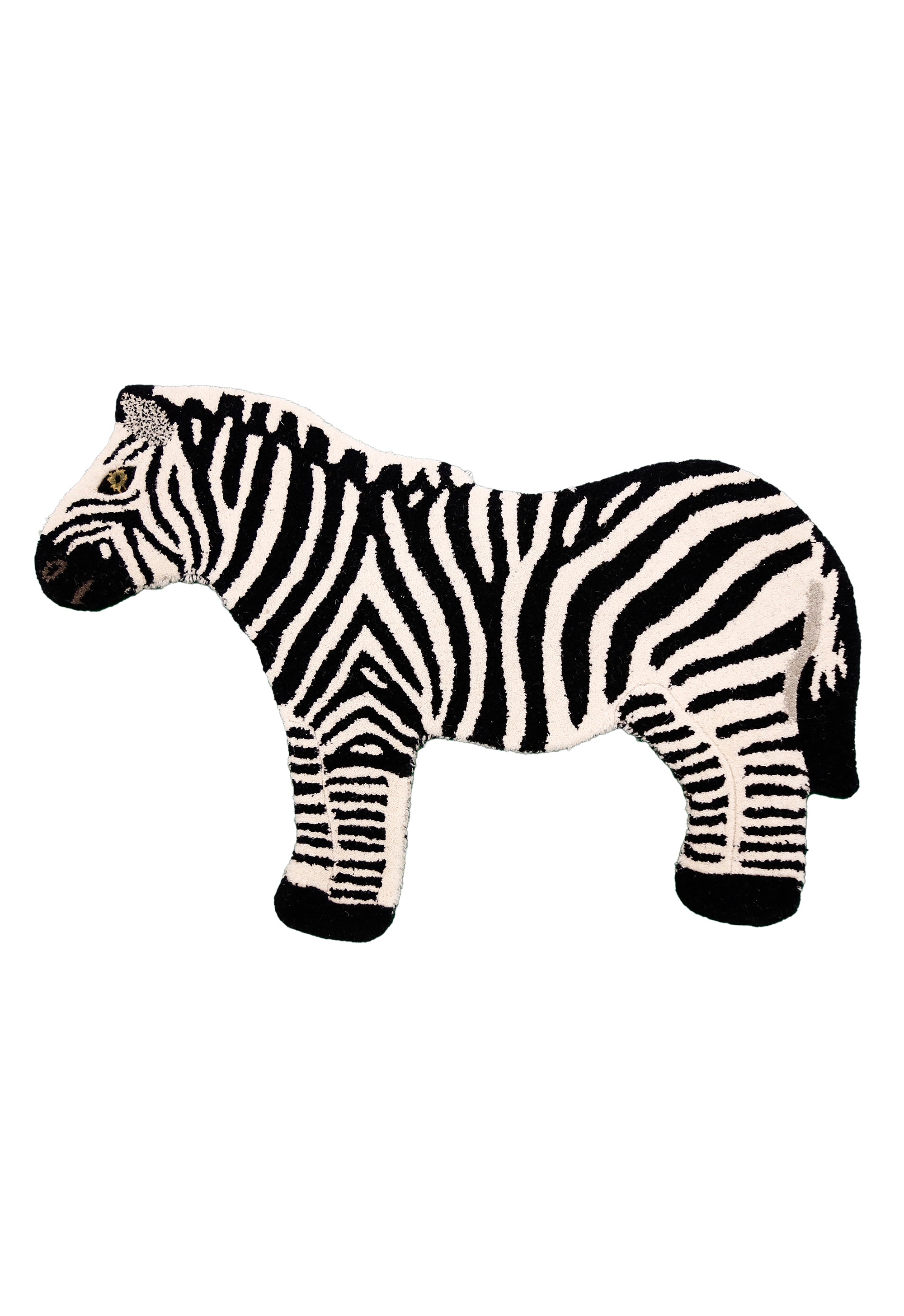 Savanna Zebra