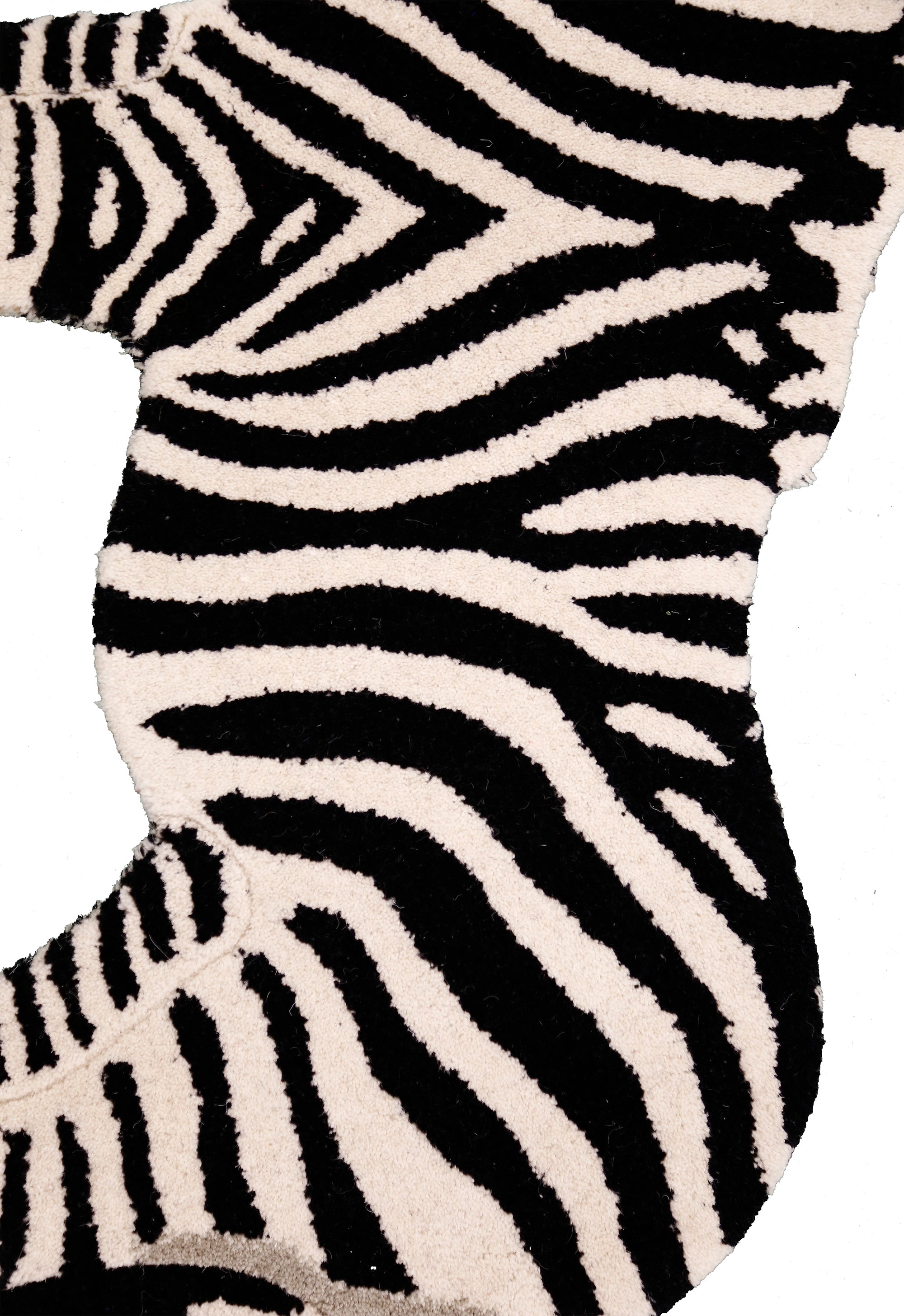 Savanna Zebra