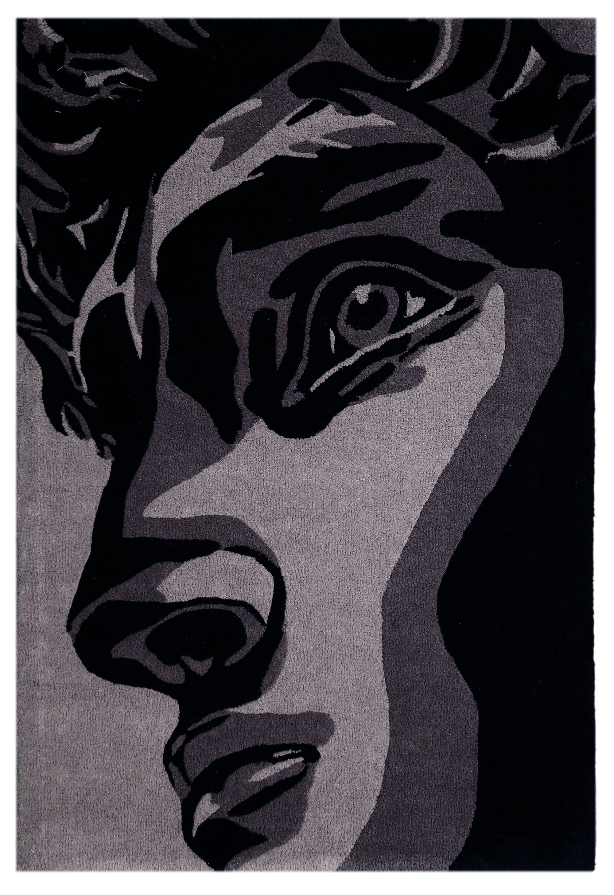 Silent Vision Rug
