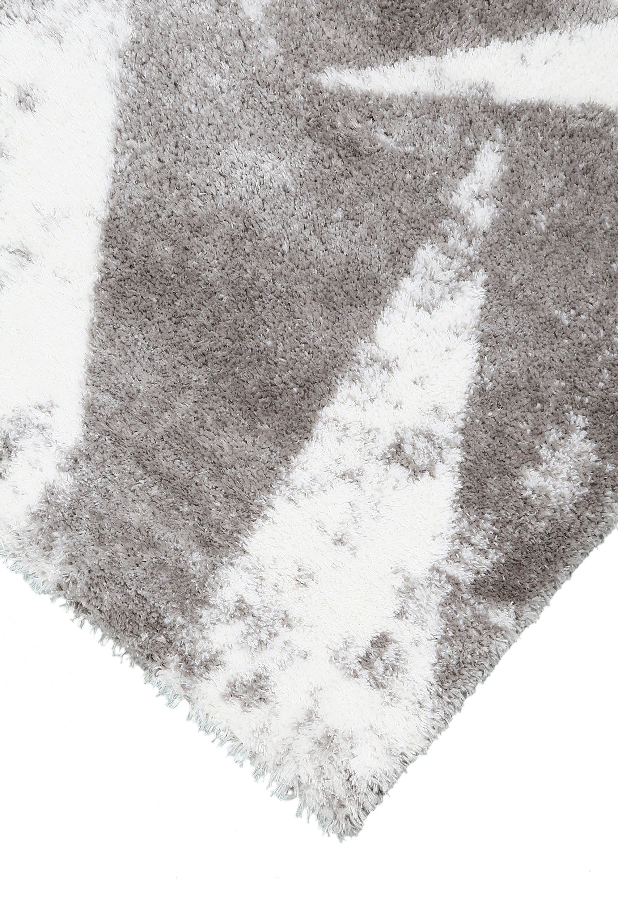 Silver Shards