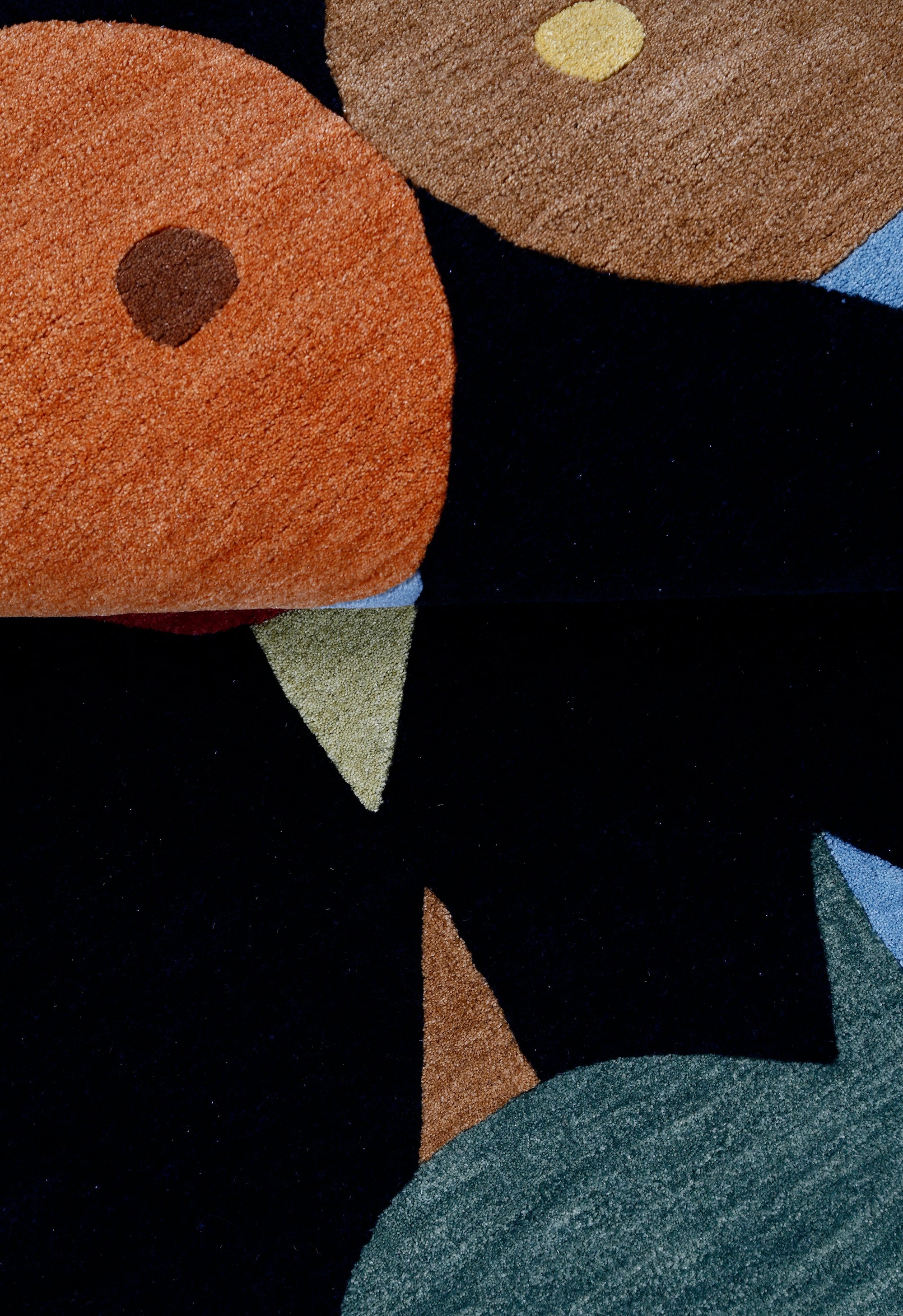 Multicolor Fish Kids Rug