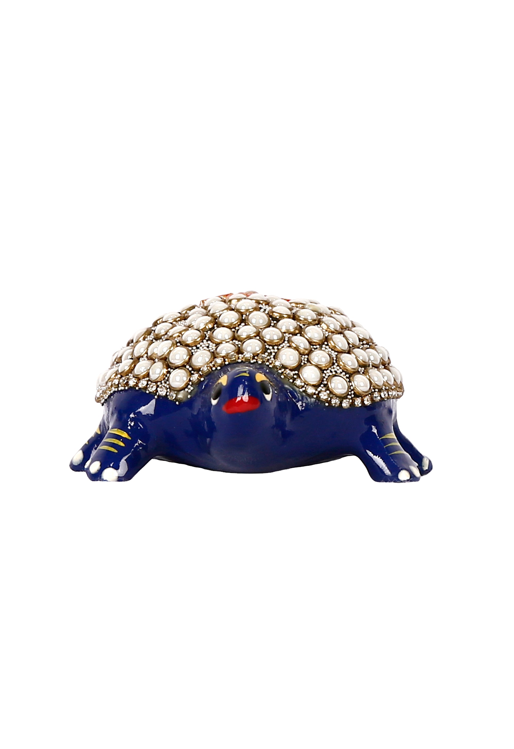 Pearl Shell Turtle