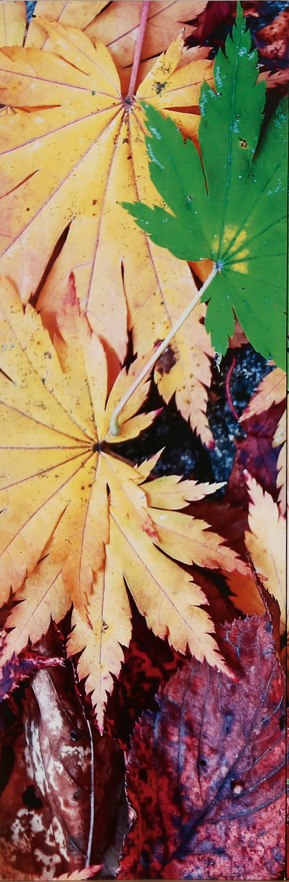 Khushi-Living-Paintings-Landscape