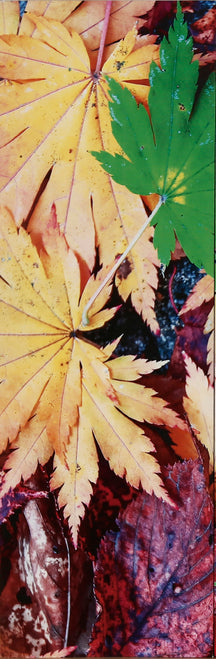Khushi-Living-Paintings-Landscape