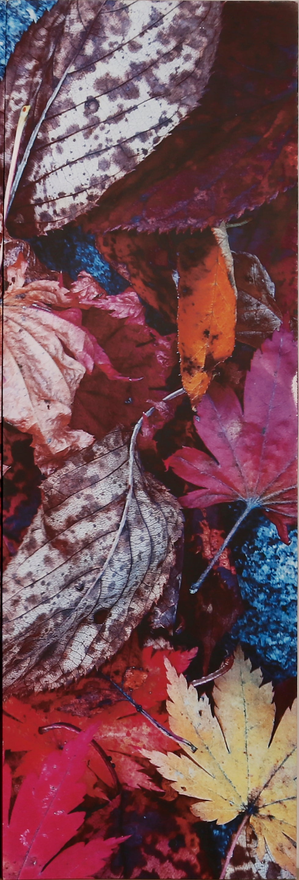 Khushi-Living-Paintings-Landscape