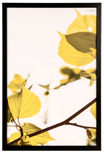 Khushi-Living-Paintings-Landscape
