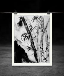 Echoes of Bamboo in the Mist