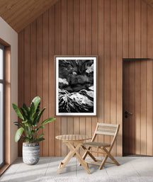 Echoes in the Charcoal