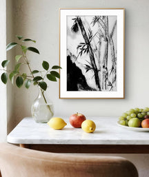 Echoes of Bamboo in the Mist