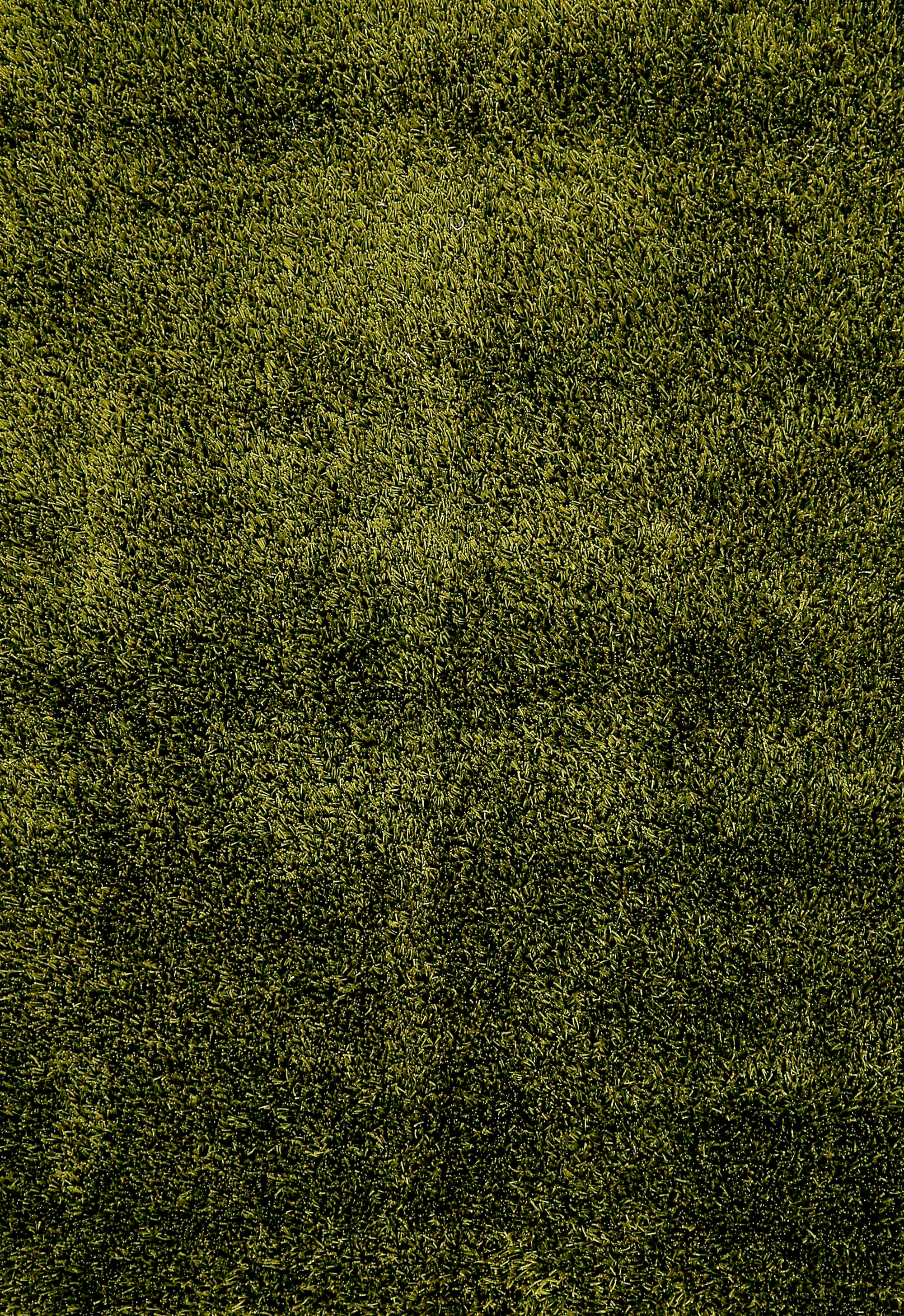 Olive Velvet