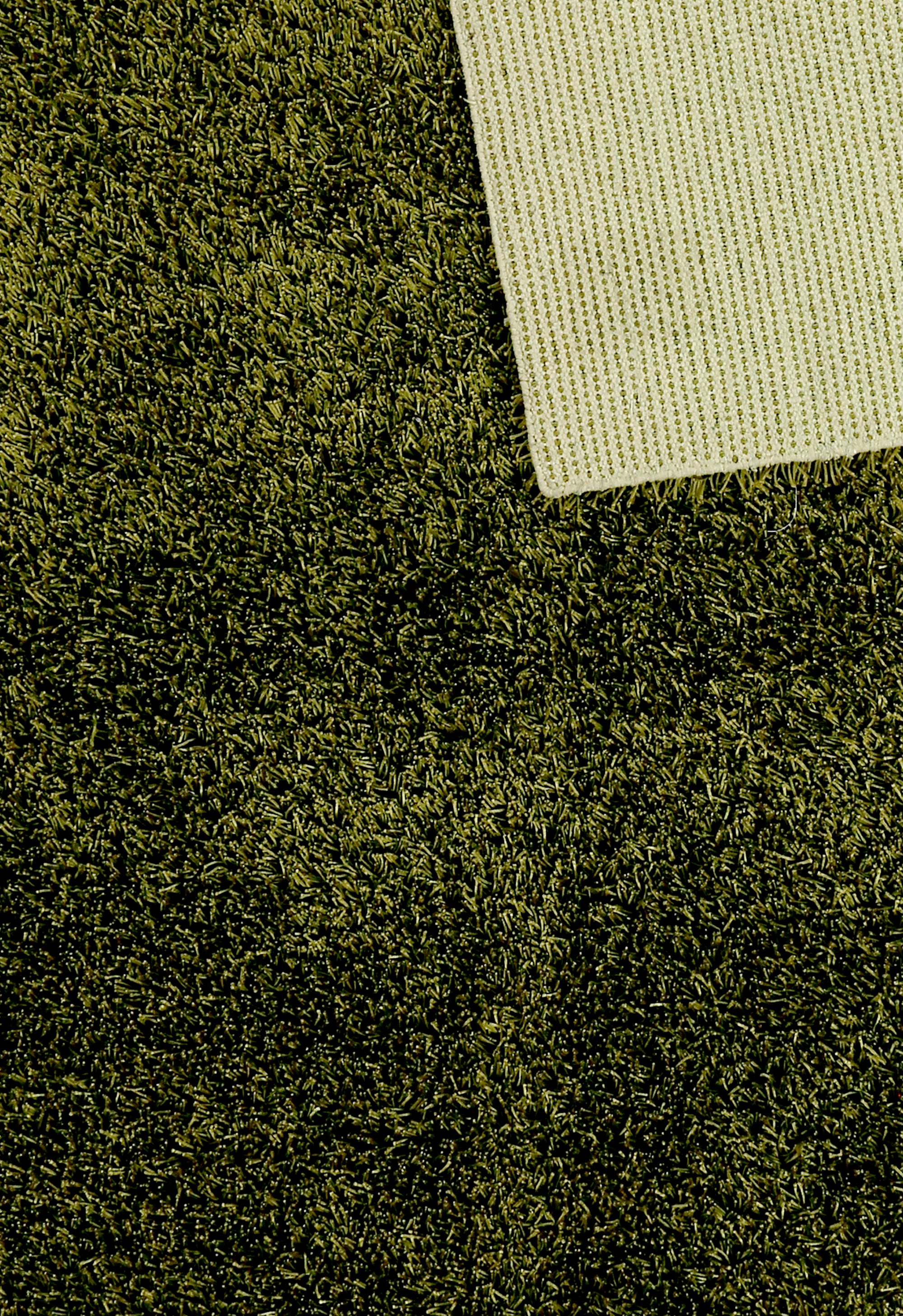 Olive Velvet