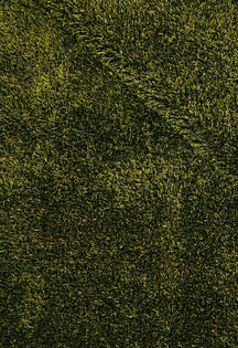 Olive Velvet
