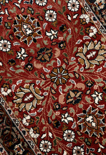 Khushi-Living-Rugs-Carpet-Hand Knotted-Traditional