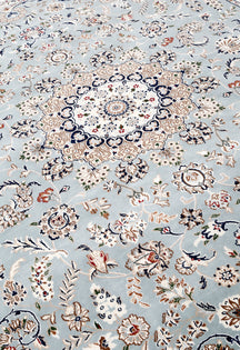 Powder Blue Heritage