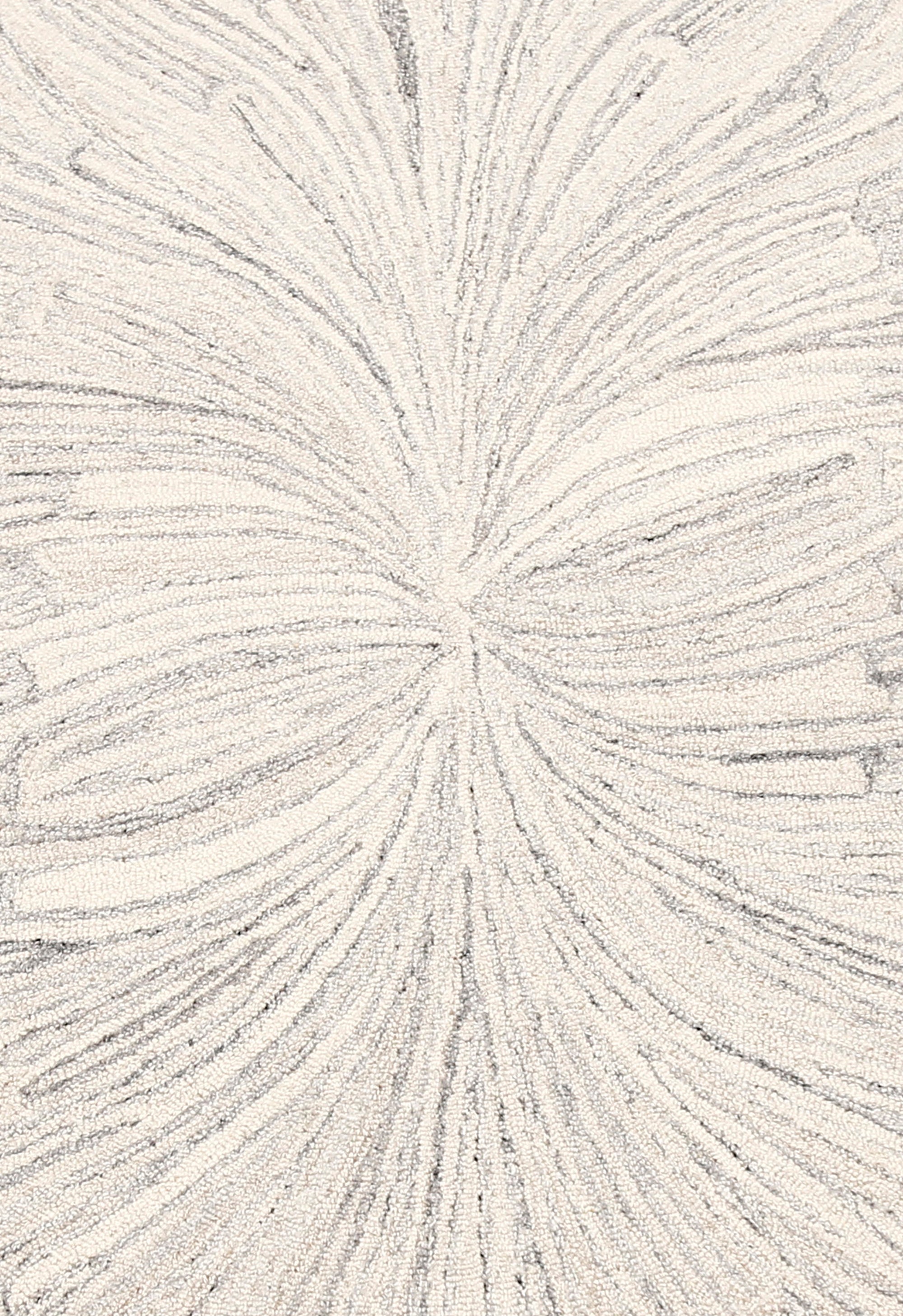 Snow Bloom