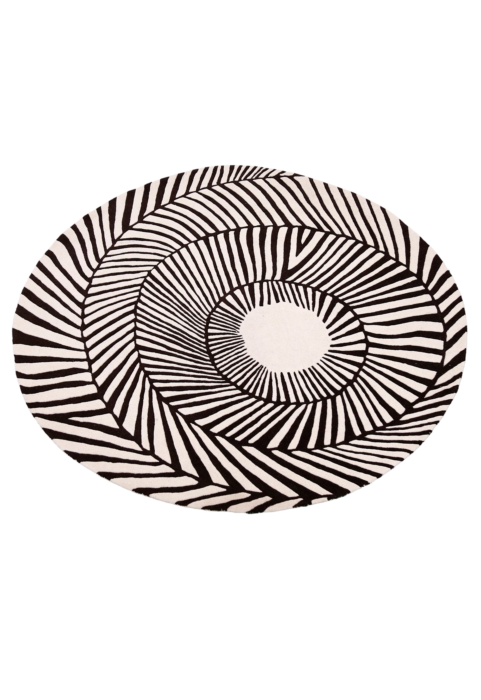 Zebra Orbit