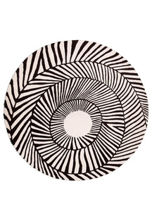 Zebra Orbit
