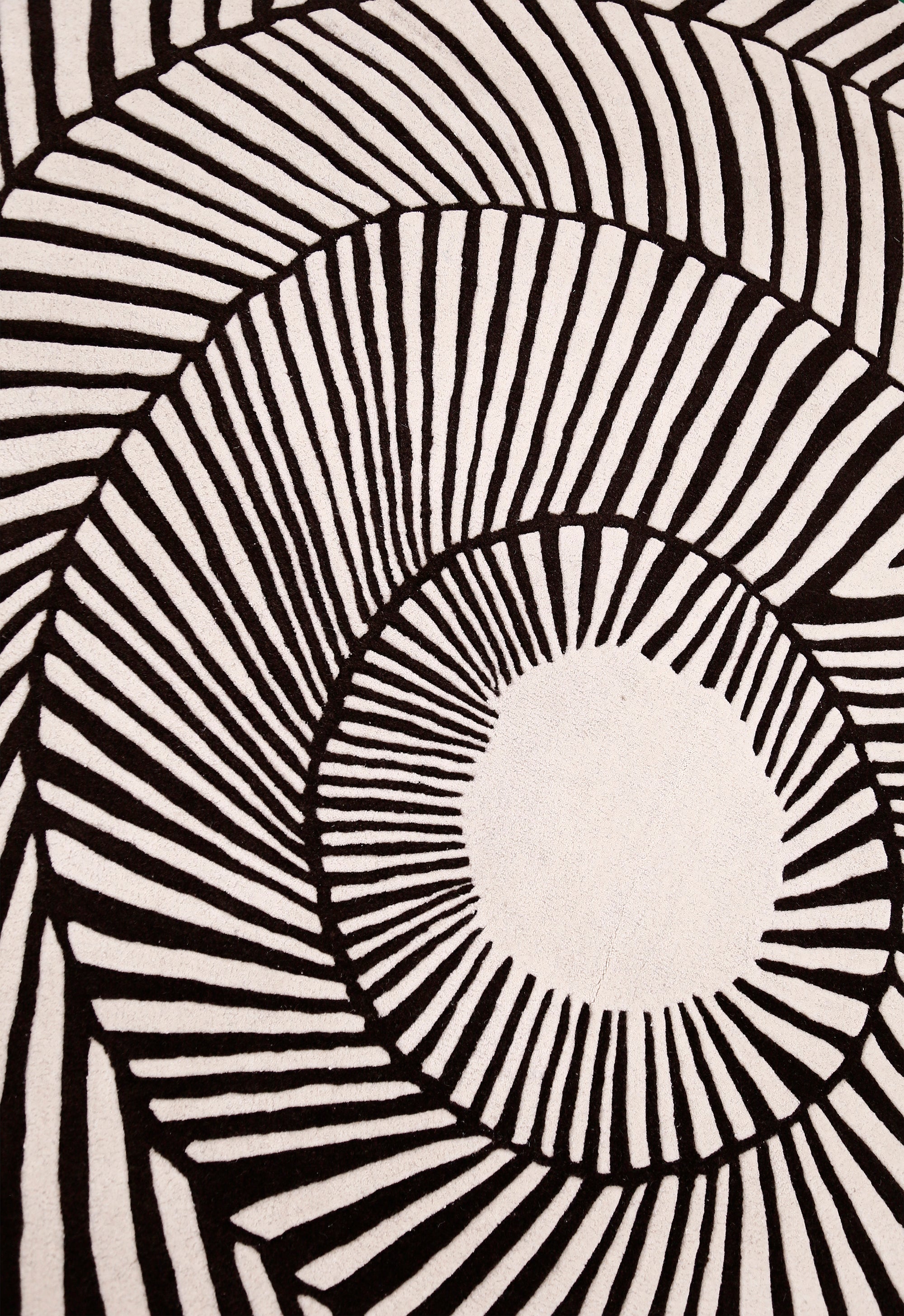 Zebra Orbit