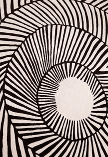Zebra Orbit