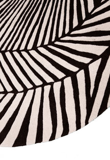 Zebra Orbit