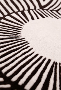 Zebra Orbit