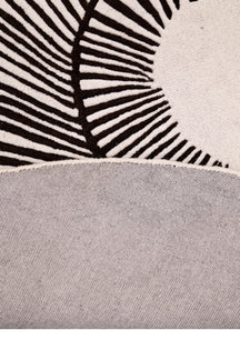 Zebra Orbit