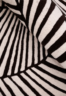 Zebra Orbit