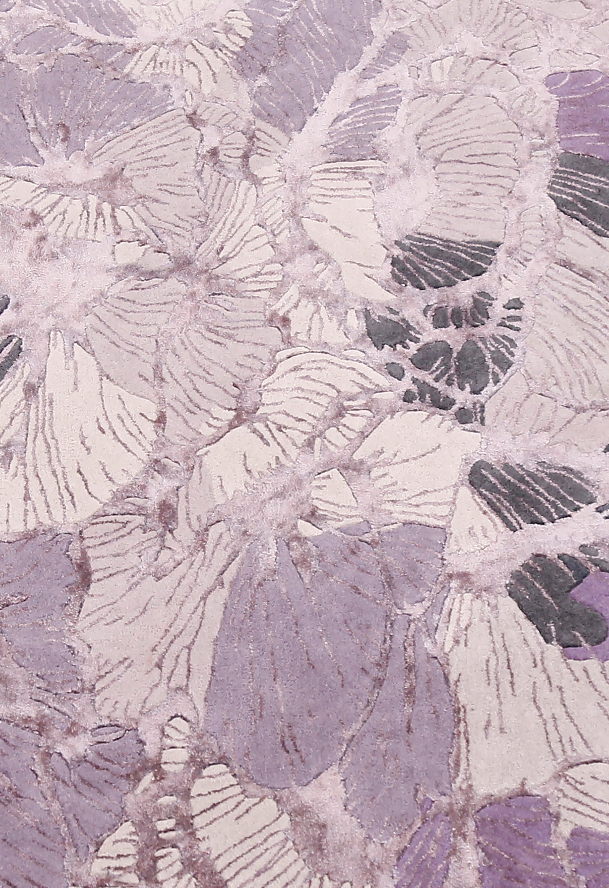 Lilac Petal