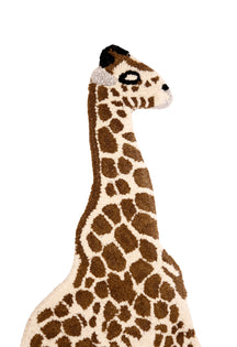 Gentle Giraffe