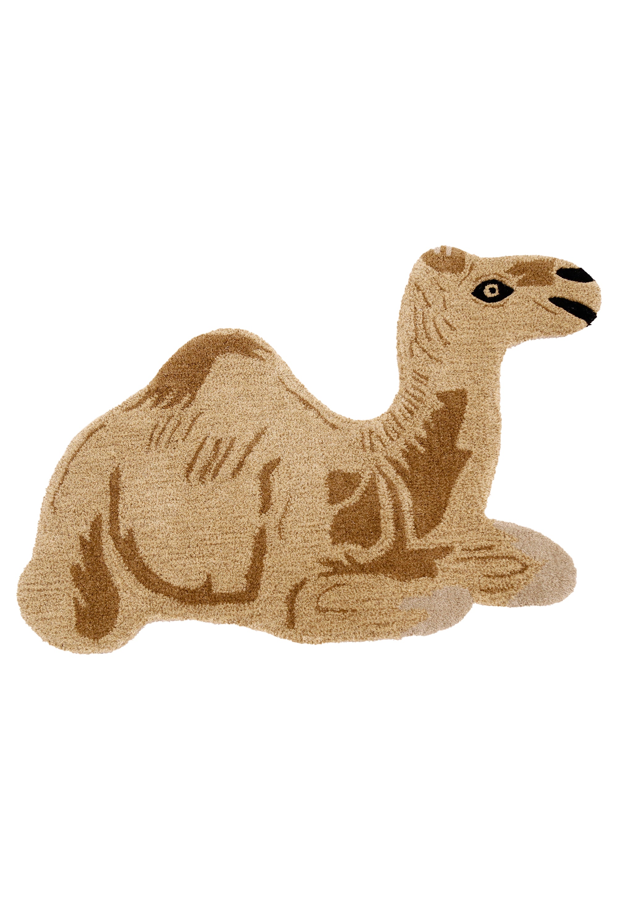 Sahara Siesta