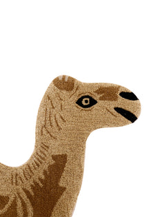 Sahara Siesta