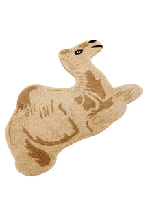 Sahara Siesta