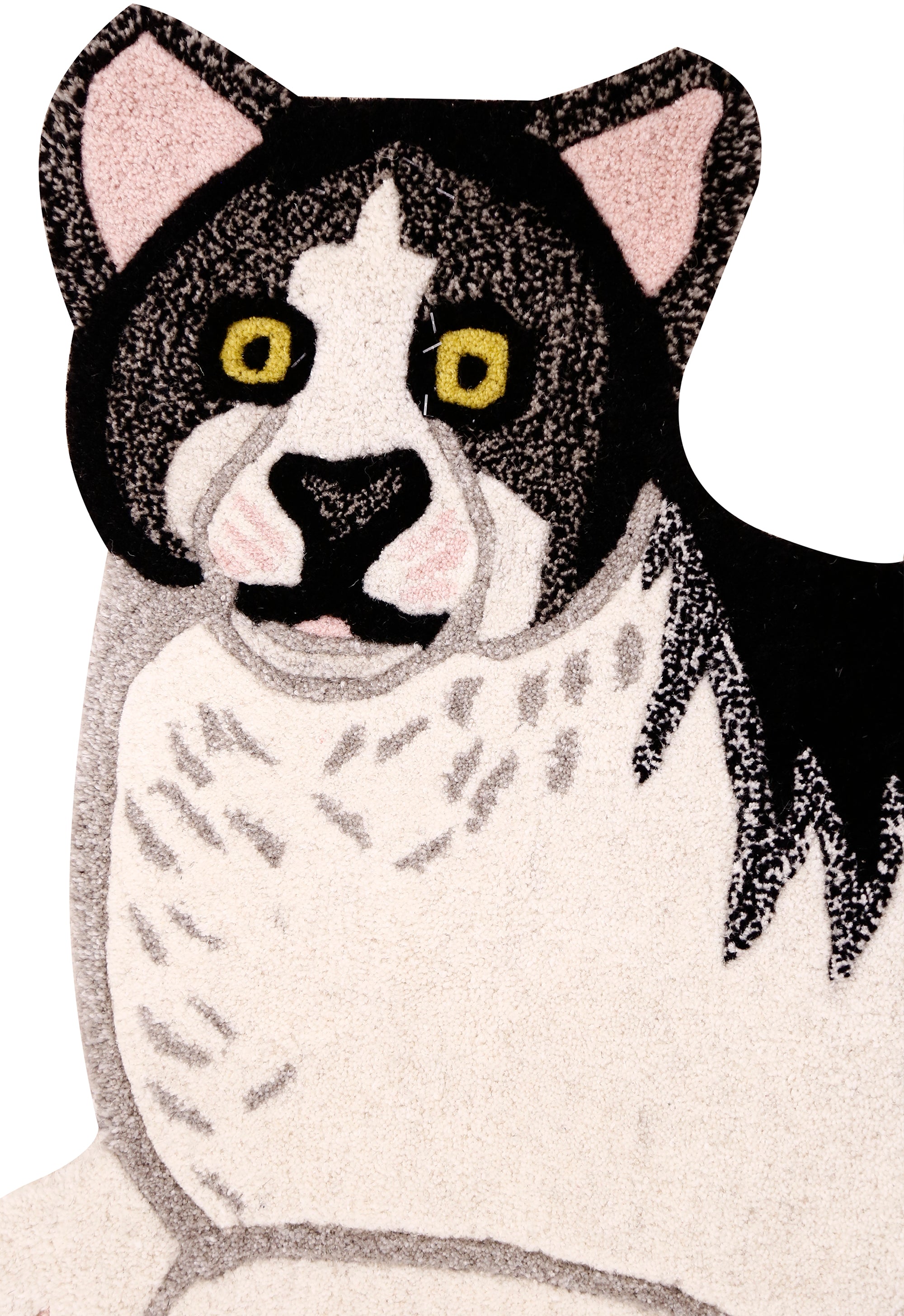 Lazy Feline