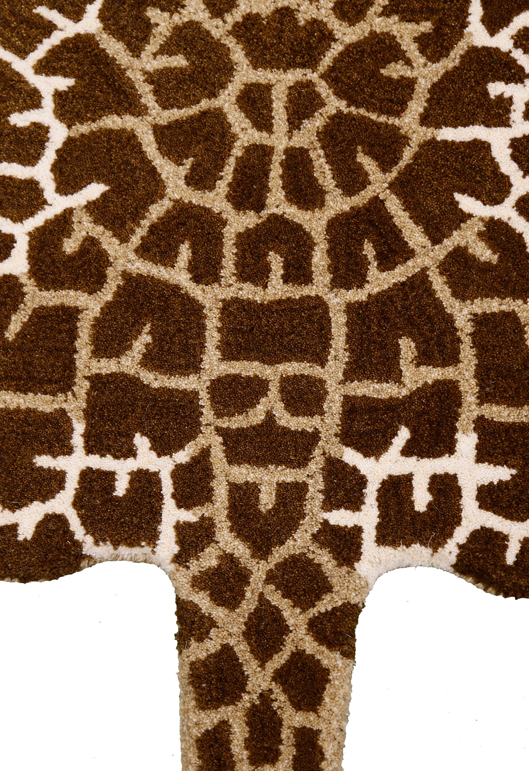 Savanna Giraffe