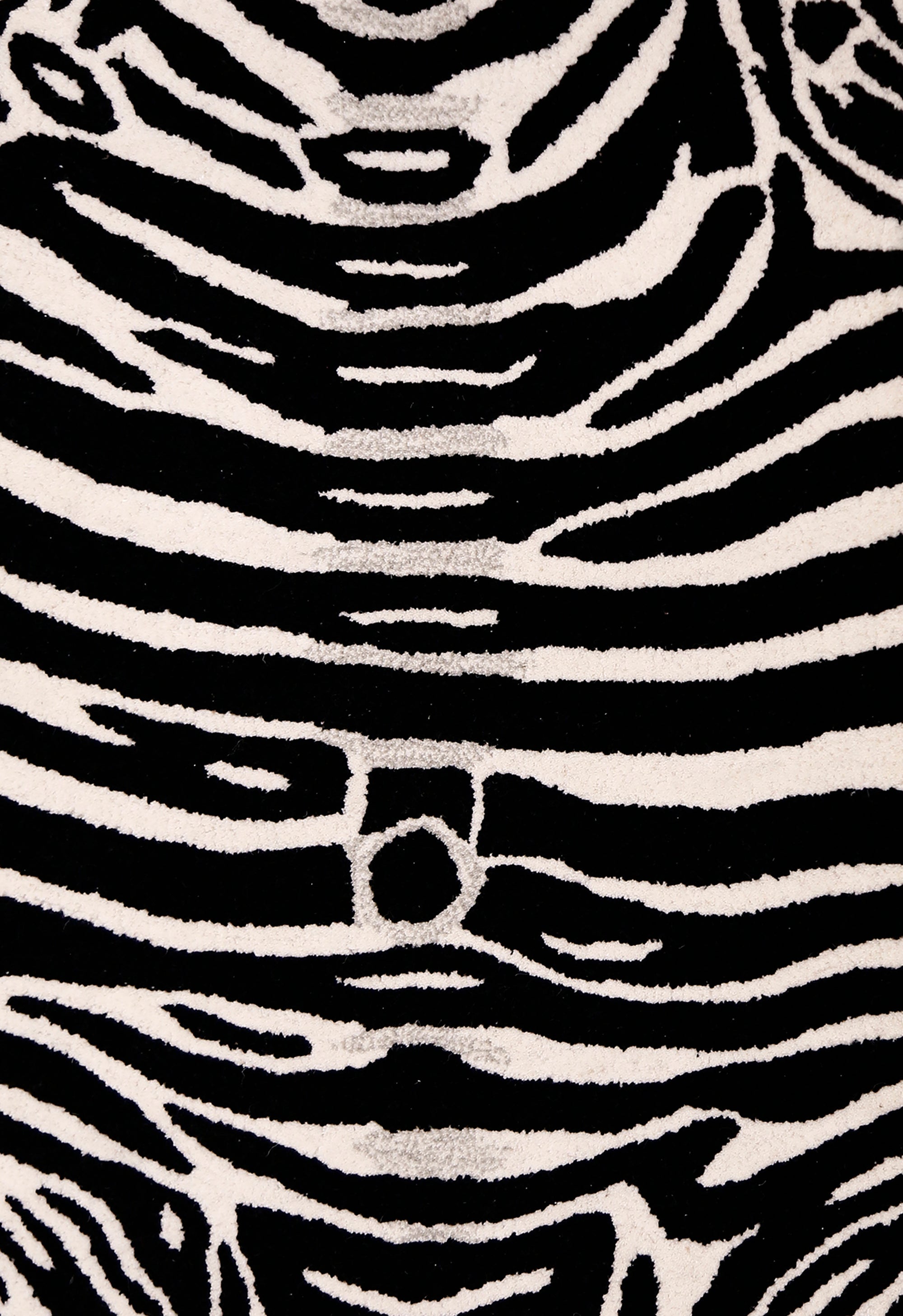 Zebra Safari