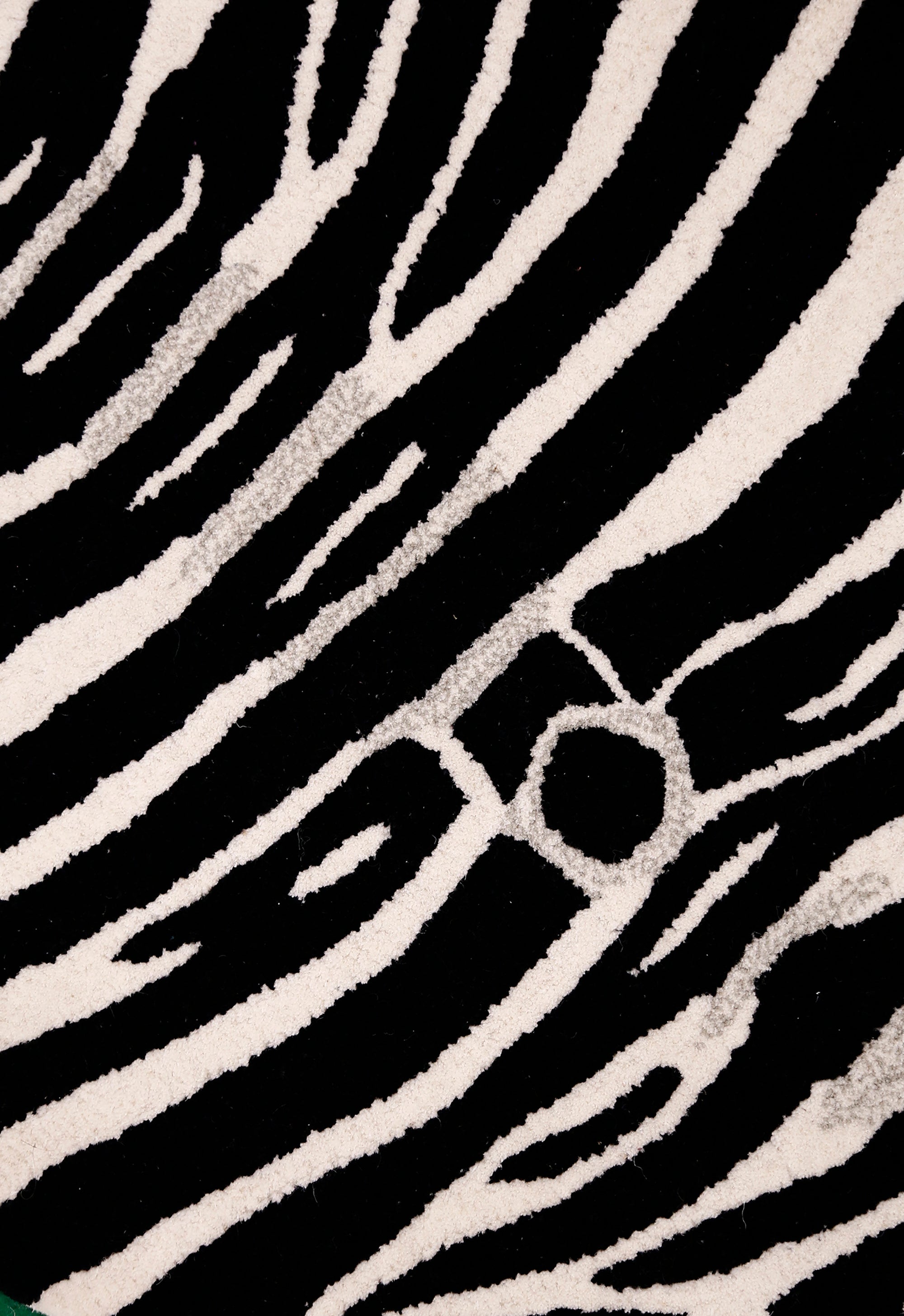Zebra Safari