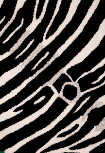 Zebra Safari