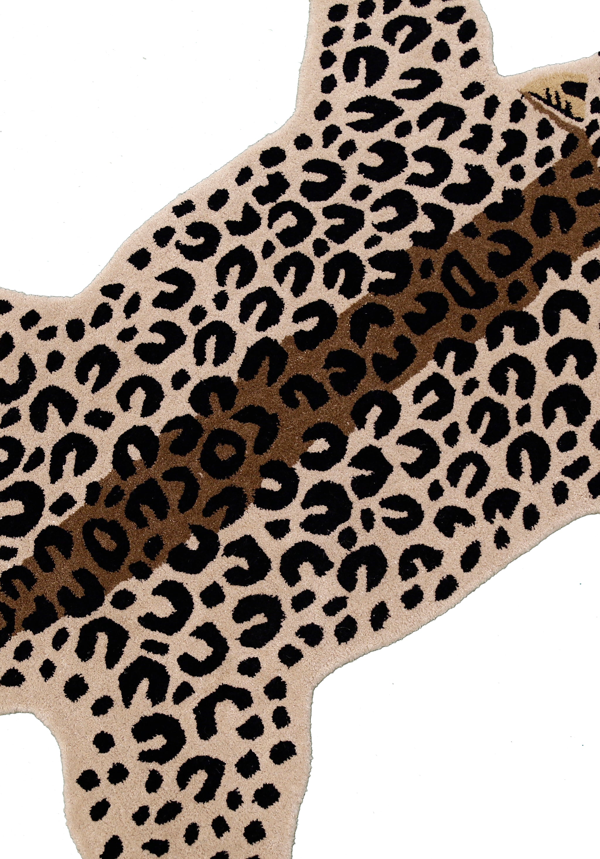 Savanna Leopard