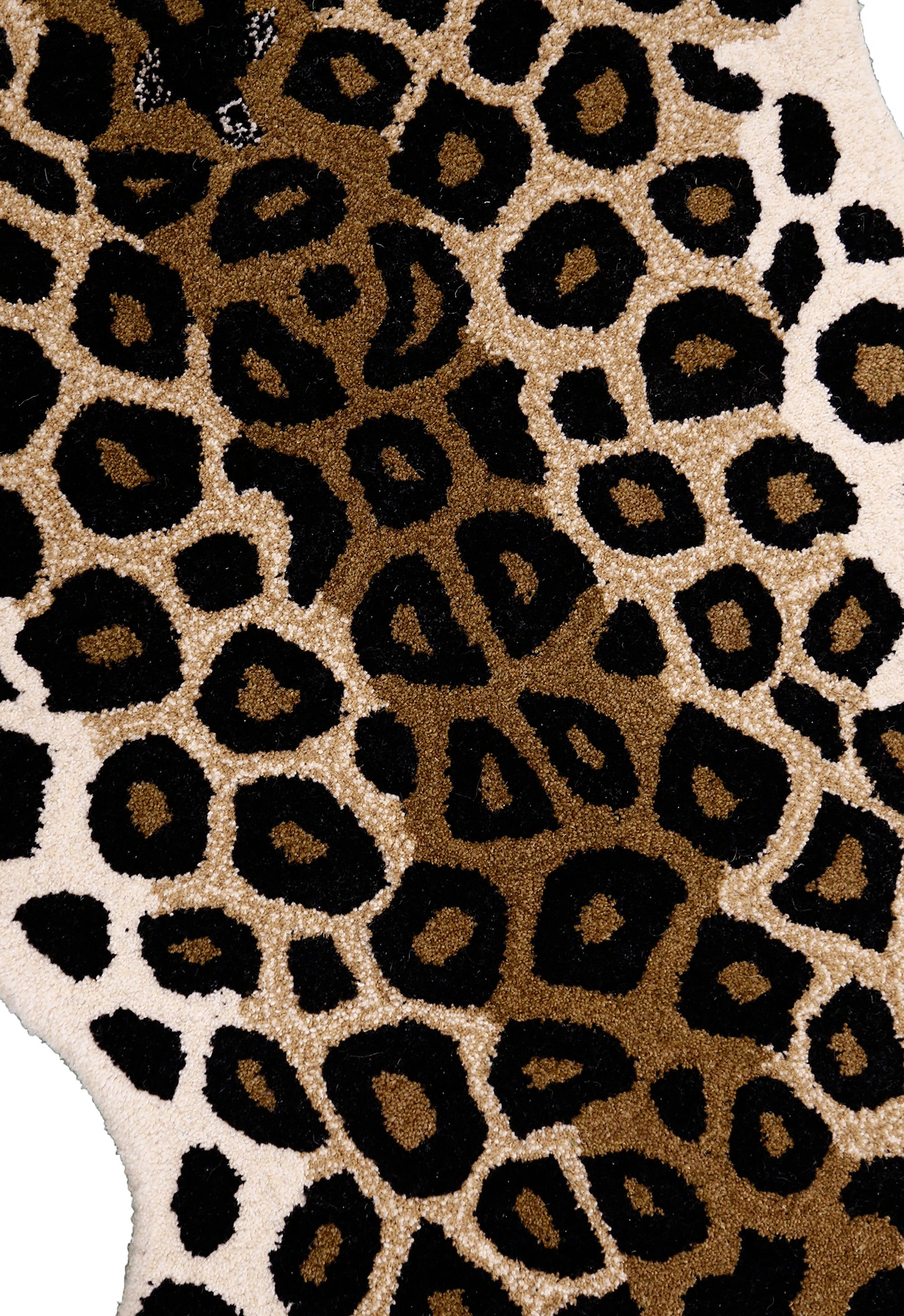 Desert Leopard