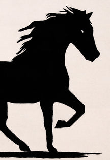 Shadowstride Stallion