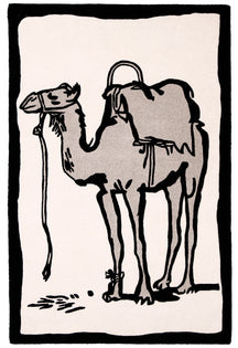 Nomad Pack